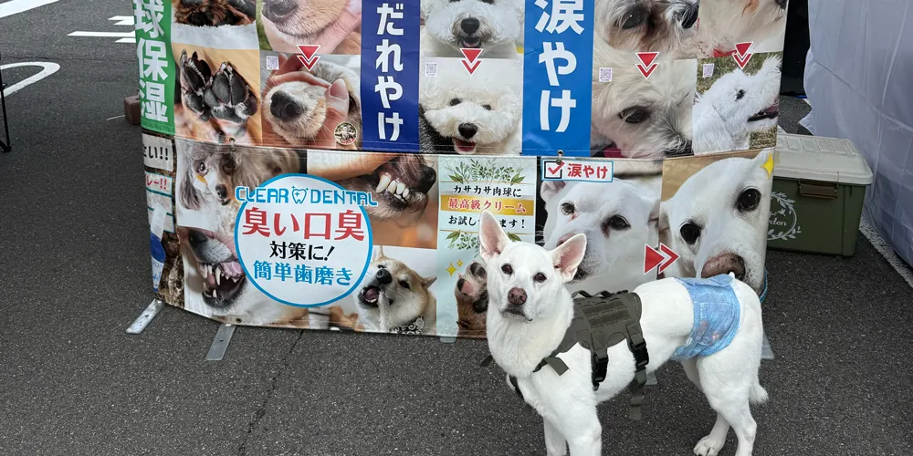 販売員によってのレベルの差が大きい