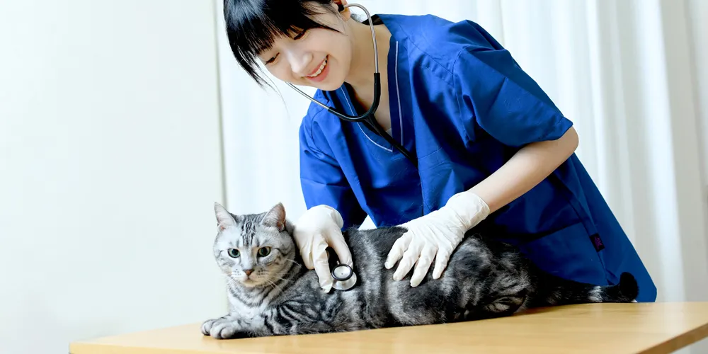 動物看護士