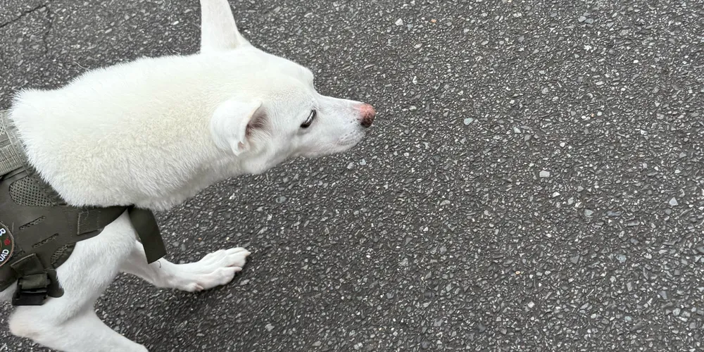 そこで取った行動