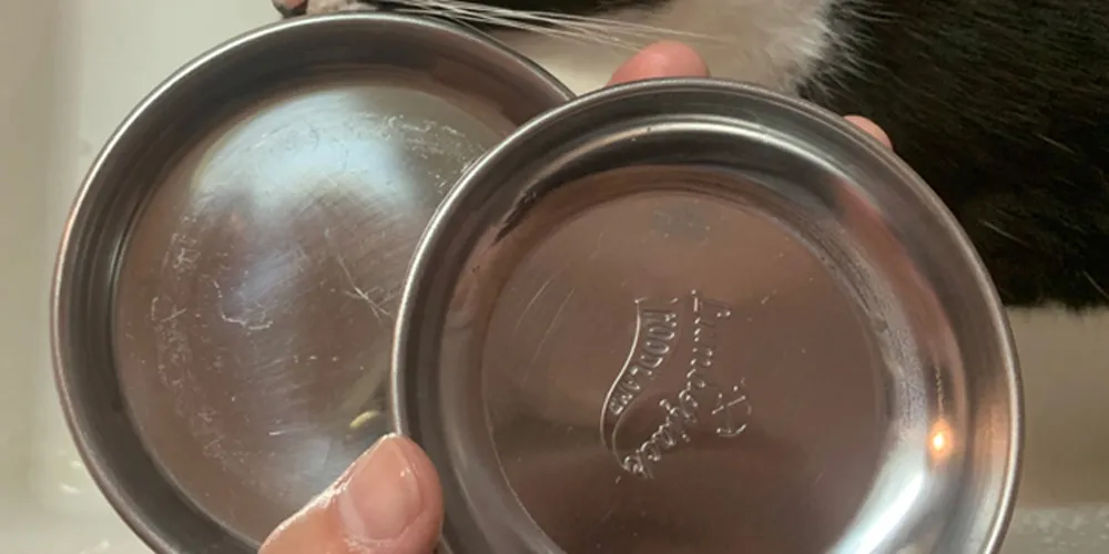 CLEAR POWDER